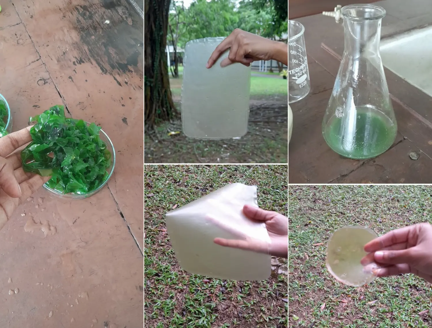 Team Bioplastic Revolution - second image